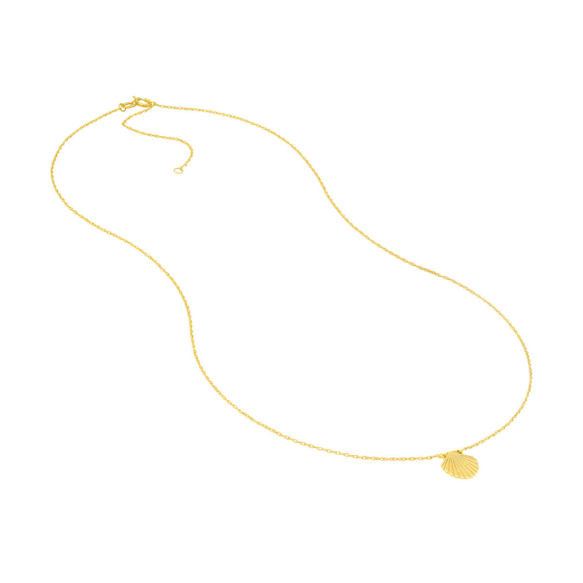 Scallop Shell Necklace