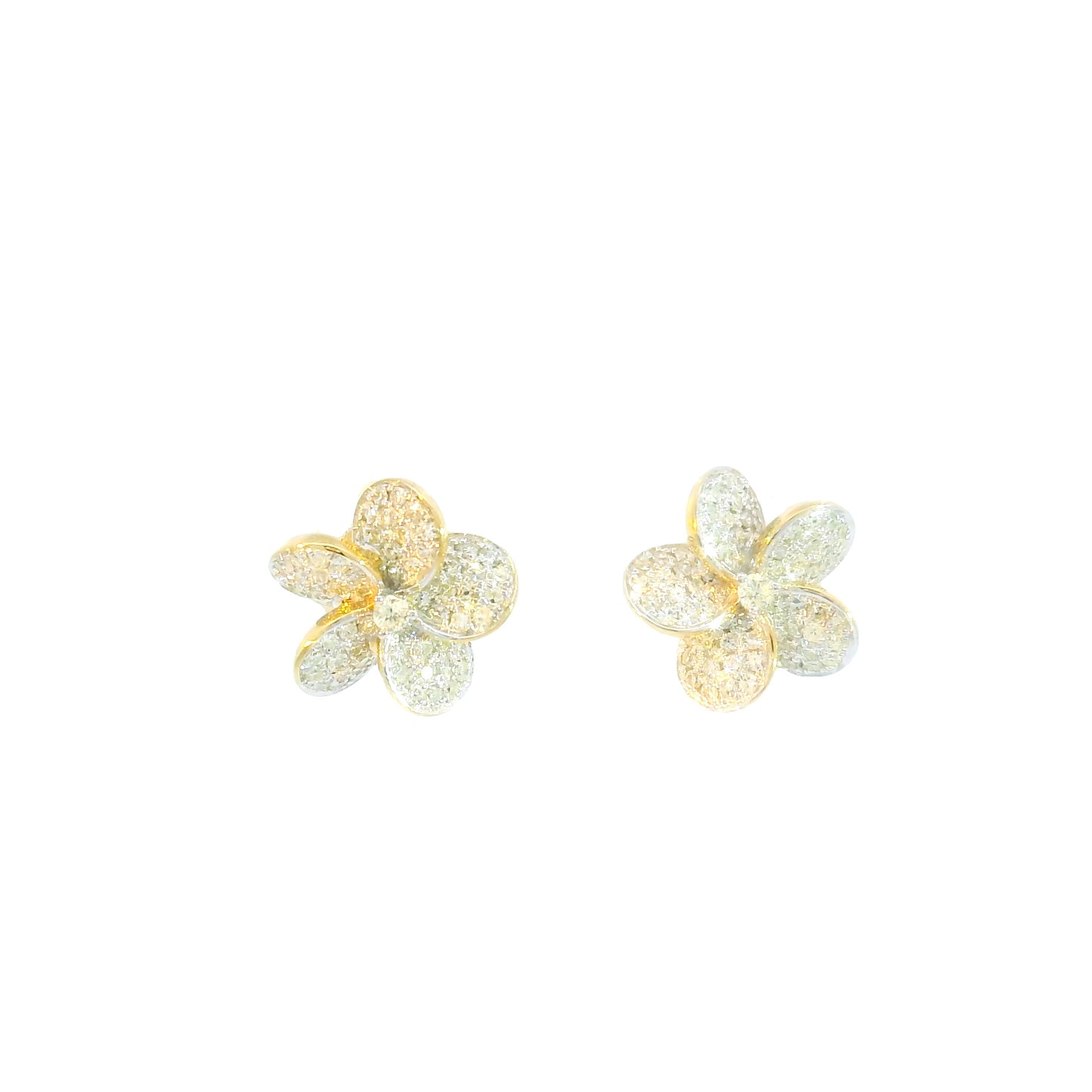 Pavé Plumeria Studs
