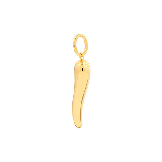 14 Karat Gold Italian Horn Pendant