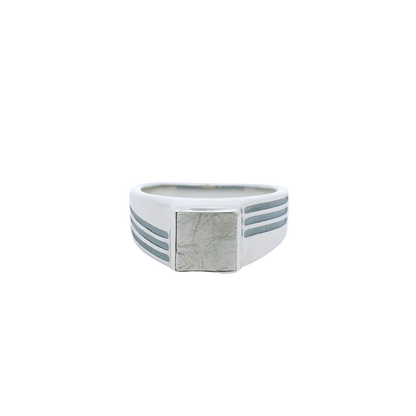 Echo Meteorite Ring