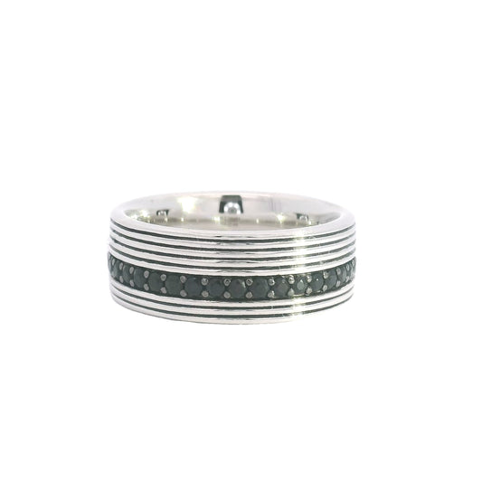 Bachman Sapphire Band