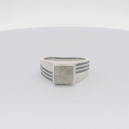 Echo Meteorite Ring